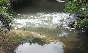 rio poxim poluicao